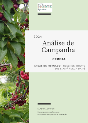 CEREJA - ANÁLISE DA CAMPANHA 2024